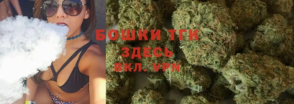 ГАЛЛЮЦИНОГЕННЫЕ ГРИБЫ Кодинск