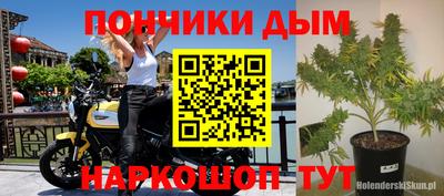 СК Краснодар