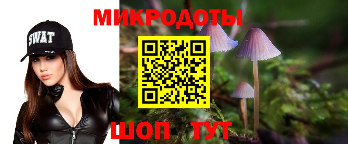 сколько стоит  Вход с VPN  Липецк  Псилоцибиновые грибы GOLDEN TEACHER 